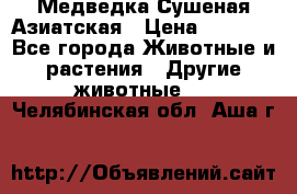 Медведка Сушеная Азиатская › Цена ­ 1 400 - Все города Животные и растения » Другие животные   . Челябинская обл.,Аша г.